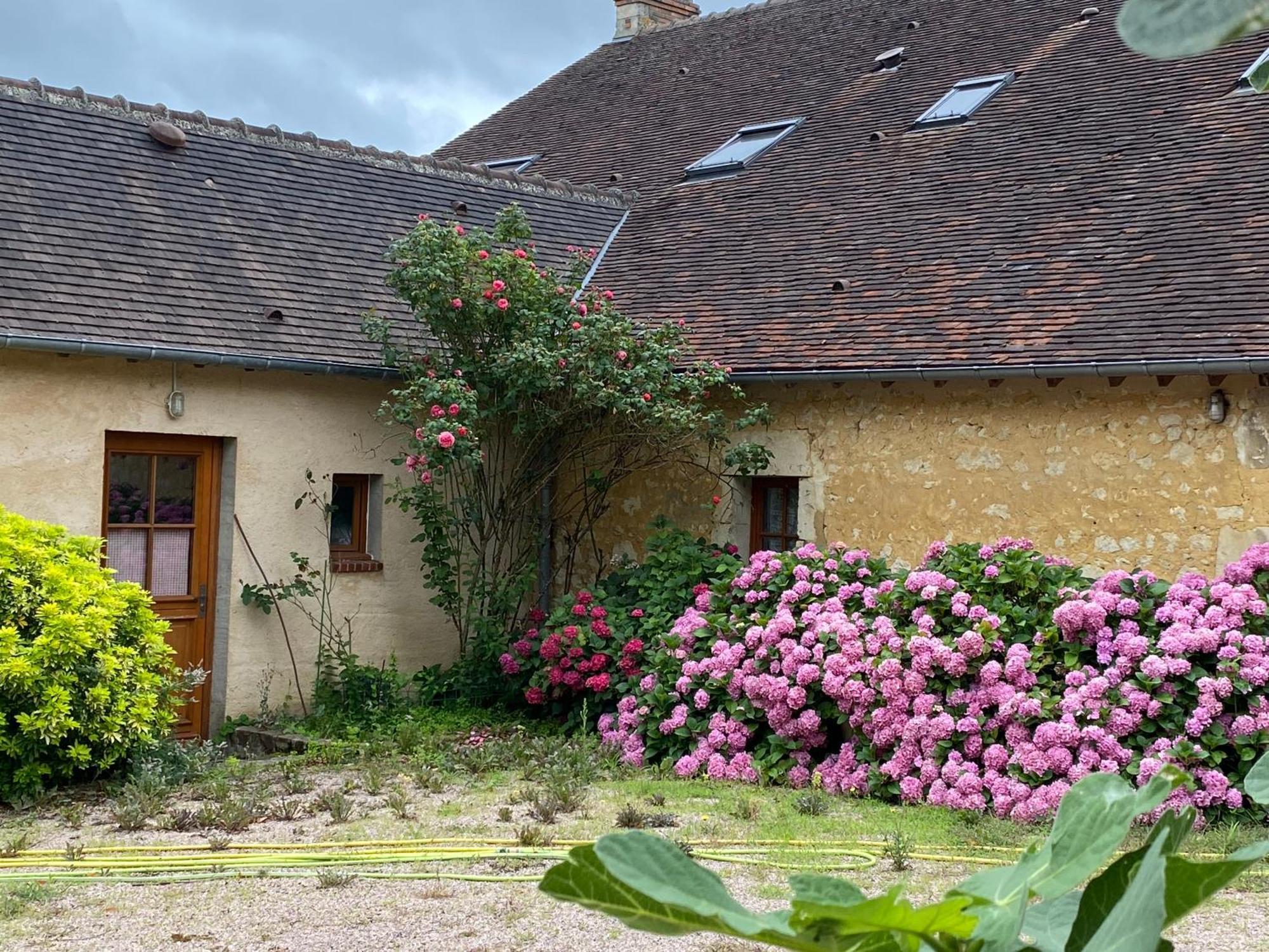 Chambre D'Hotes Du Domaine De La Haute Poignandiere Saint-Germain-de-la-Coudre Esterno foto